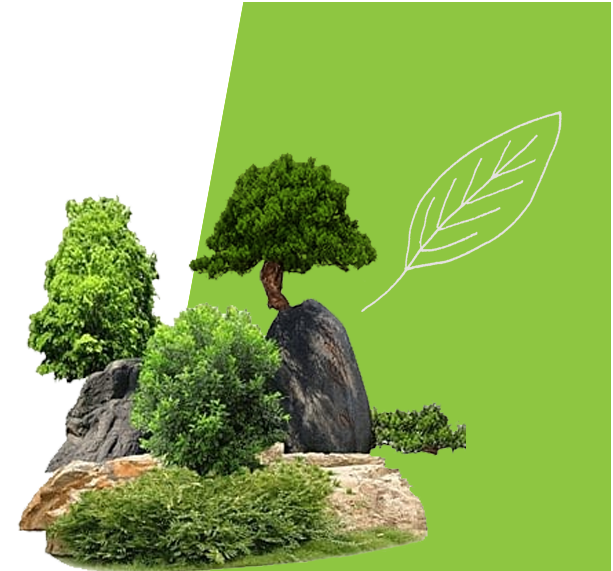 Stonehenge Paving and Landscaping